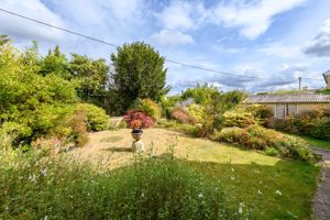 Front Garden- click for photo gallery